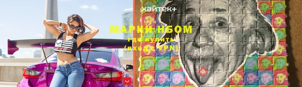 гашик Верея