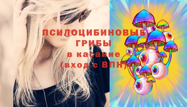 MDMA Козловка