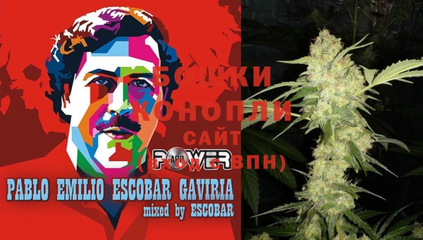 гашик Верея