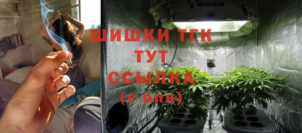гашик Верея