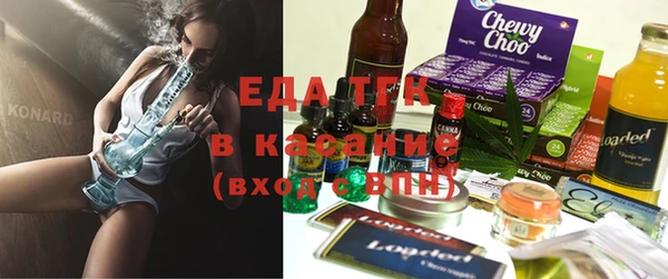 гашик Верея