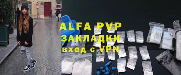 гашик Верея