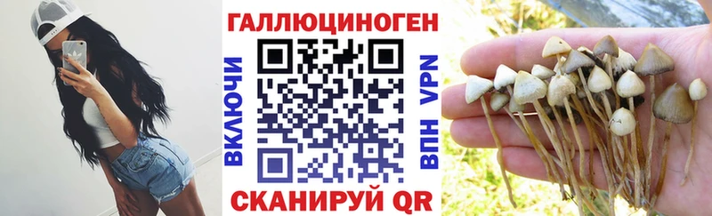продажа наркотиков мега рабочий сайт Галлюциногенные грибы прущие грибы Вязьма